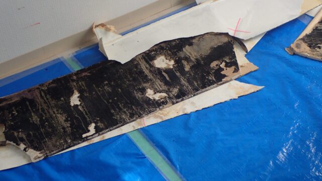 ボード裏のカビの状況